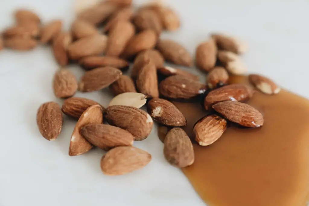 Almonds: Top Plant Sources of Minerals for the Human Body