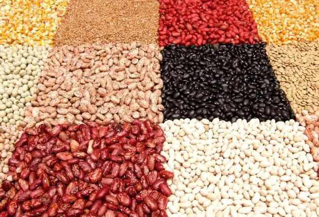 Beans on a diabetic diet plan add easy nutrition
