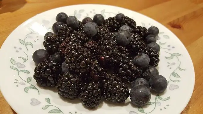 Blueberries and blackberries for Diabetic diet type 2