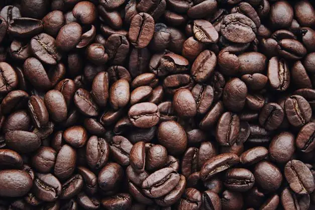 A amounts of coffee beans.
