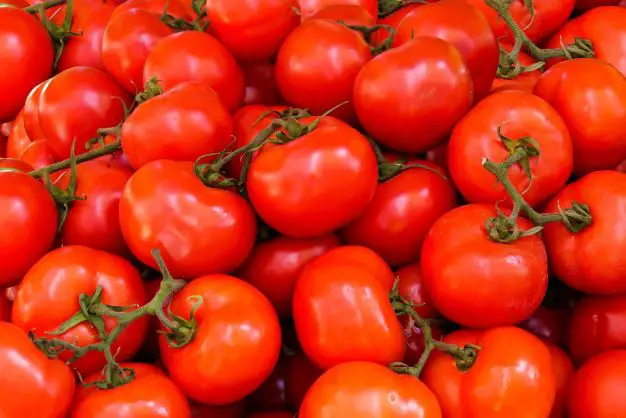 Tomato: Top Plant Sources of Minerals for the Human Body