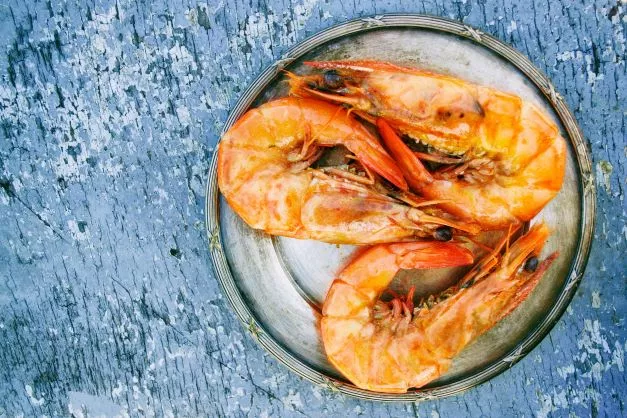 Eating shrimp during pregnancy