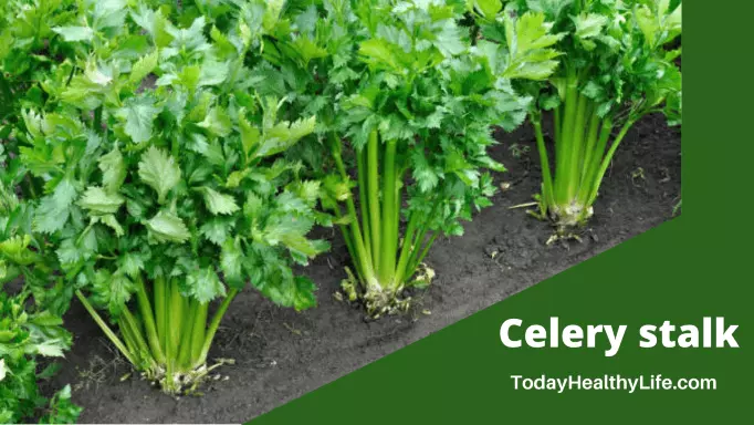 celery stalk