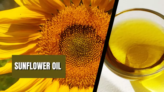 Sunflower oil for hair