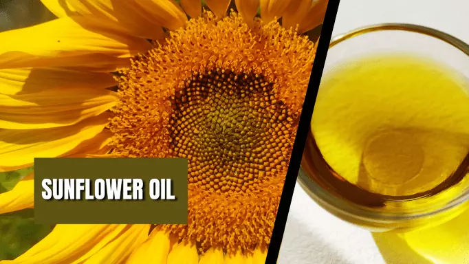 Sunflower oil