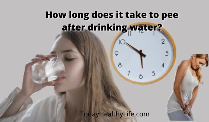 How long does it take to pee after drinking water? Important