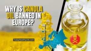 Why is canola oil banned in Europe? Actual Truth & Reason