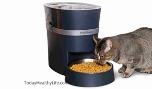 A cat eating by a Automatic Cat Feeder for Wet Food.