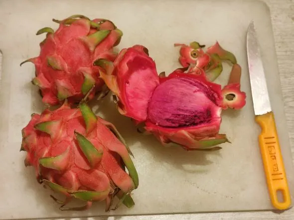 Cutting three red dragon fruit to taste them the first time. Do you know, what does dragon fruit taste like?
