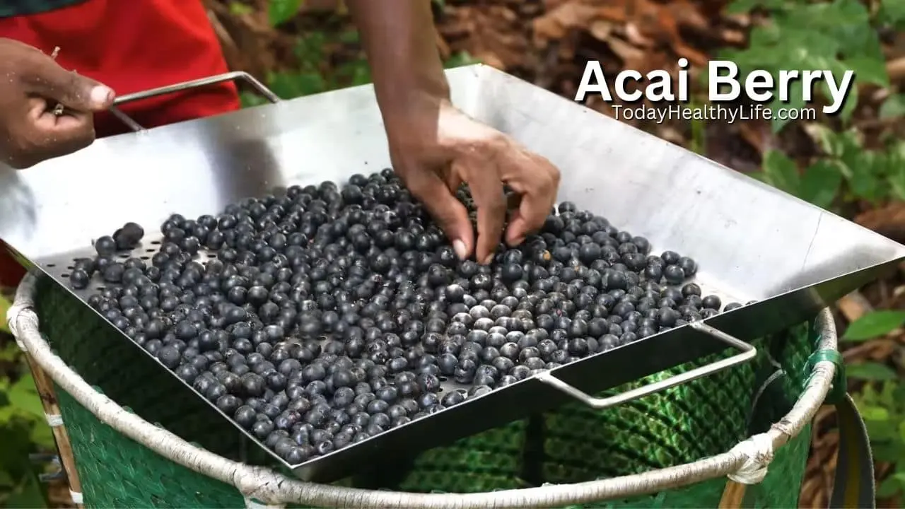 What Does Acai Taste Like? & Why Does It Tastes So Bad?