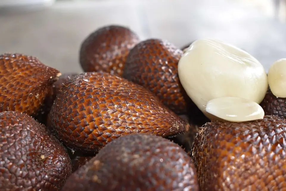 Do you know what does snake fruit taste like?