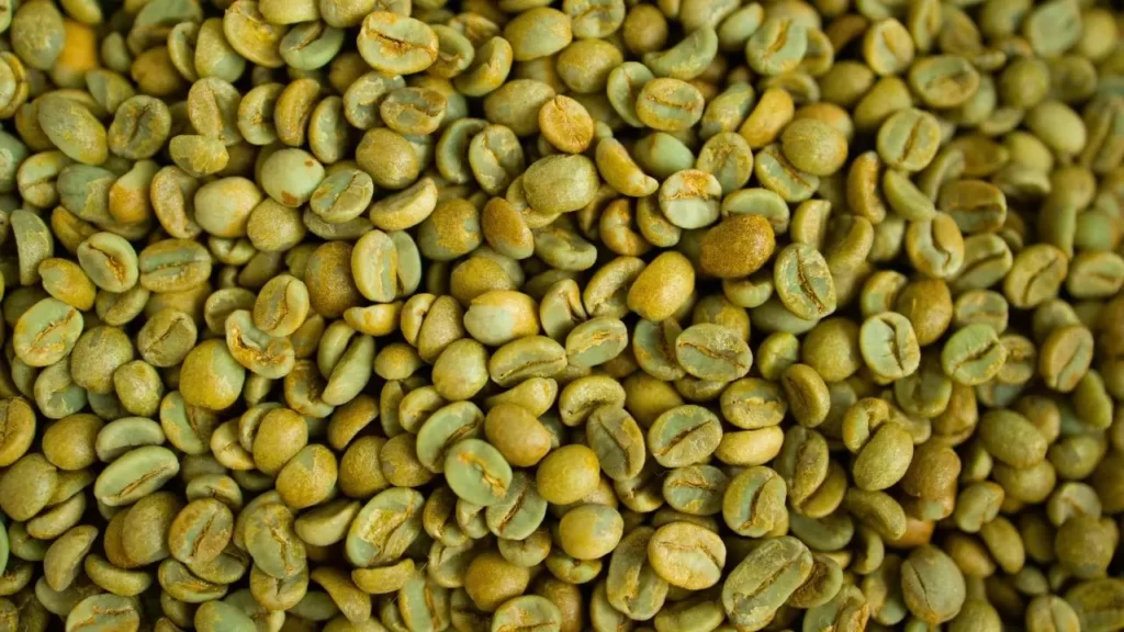 How Long Do Green Coffee Beans Last? - Maximize Freshness & Flavor