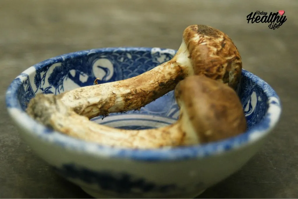 Matsutake Mushrooms Recipes and Culinary Adventures