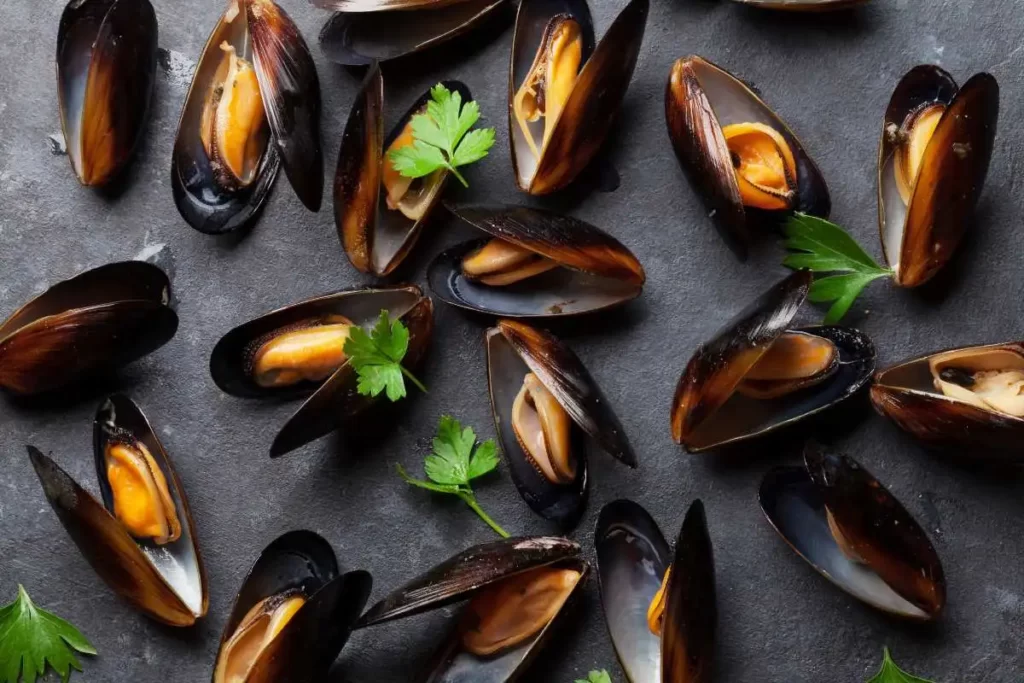 What are Mussels?