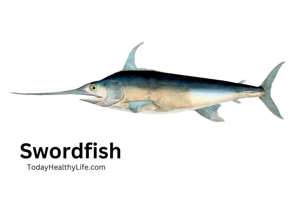 Swordfish