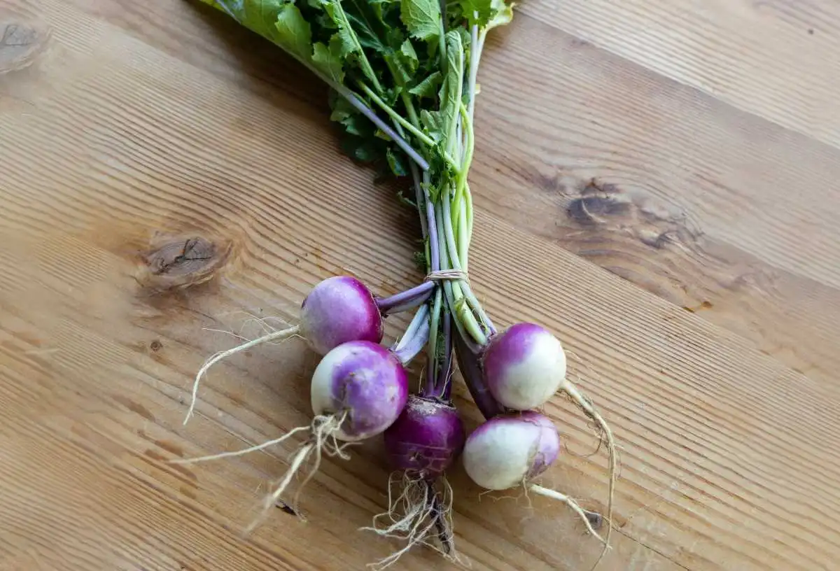 What Does Turnip Taste Like? Benefits, Side Effcts & More