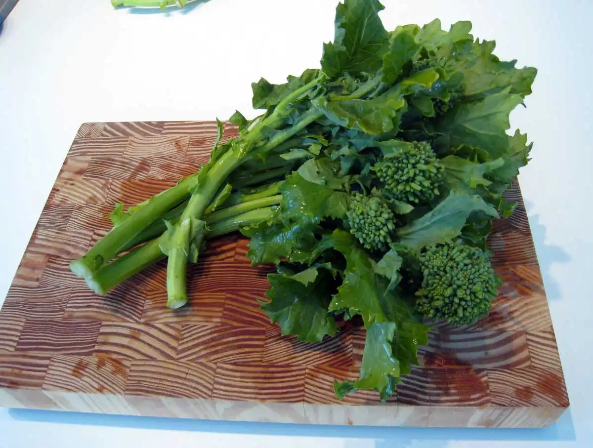 Broccoli Rabe: Side Effects, Nutrition, Benefits, Recipes & All