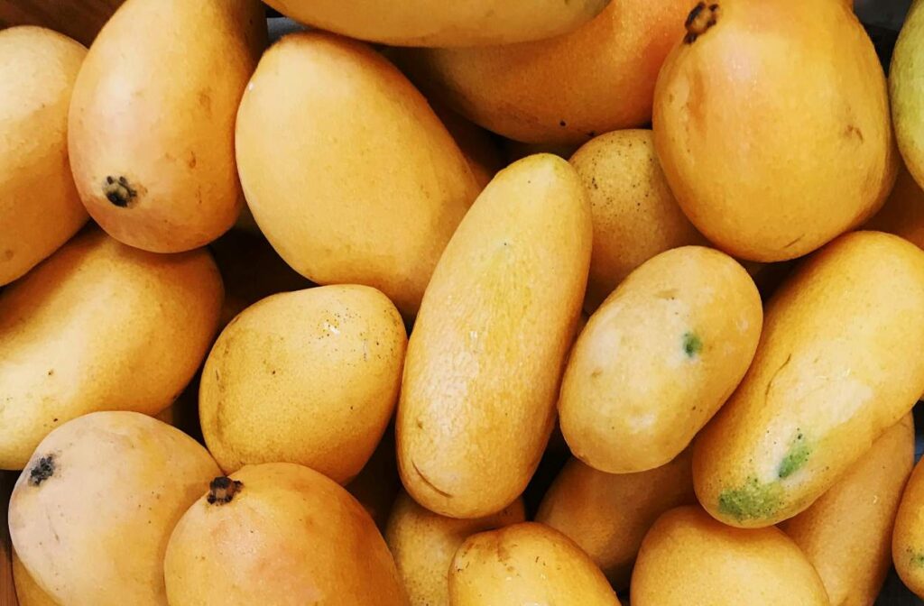 How to Pick a Mango: A Complete Guide