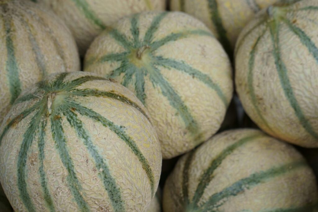 Muskmelon: Nutrition, Benefits, Side Effects & More