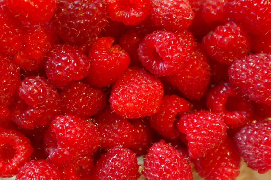 Raspberry: Benefits, Side Effects, Nutrition, Calories, Recipes & All