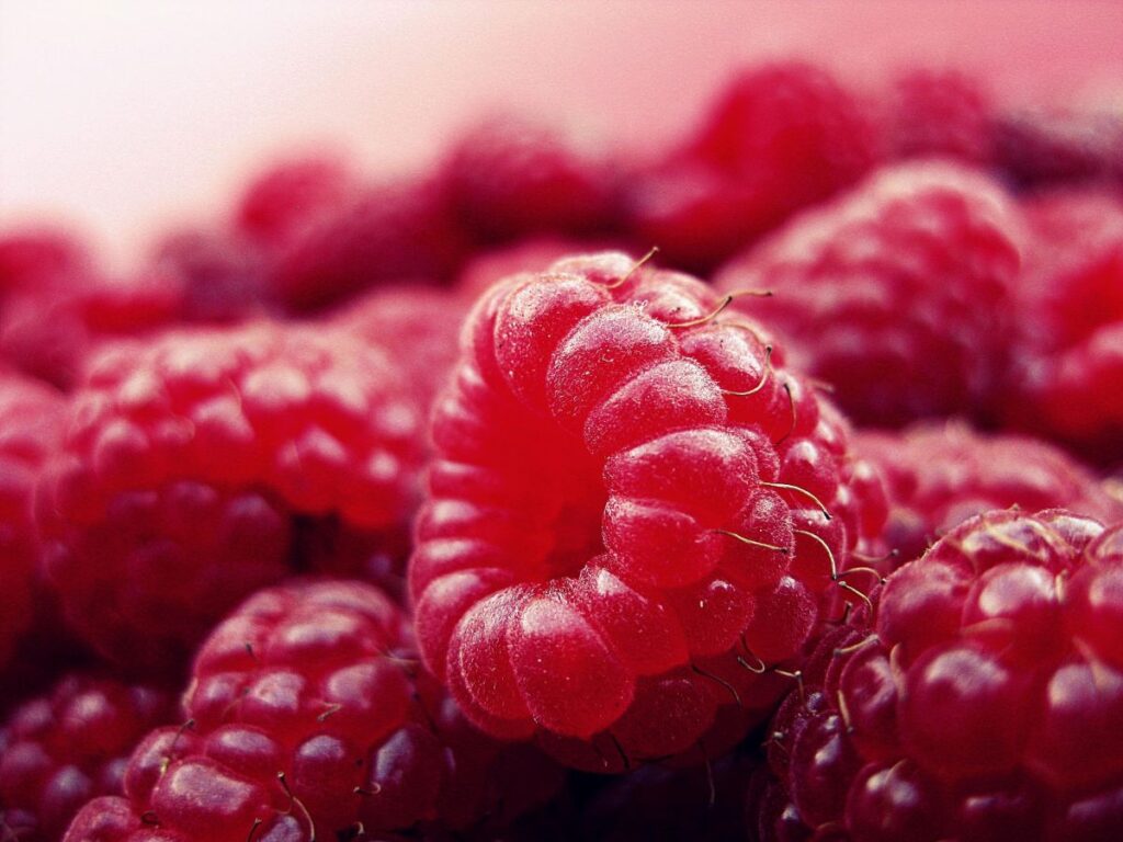 Raspberry: Benefits, Side Effects, Nutrition, Calories, Recipes & All