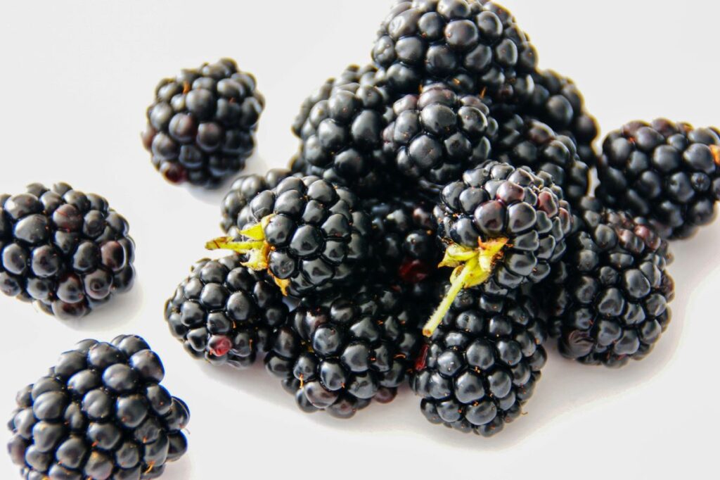 Blackberry: Benefits for Male & Female, Side Effects, Nutrition, & All